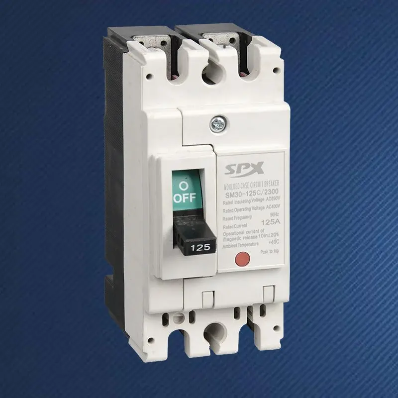 2P 125A মোল্ডেড কেস সার্কিট ব্রেকার